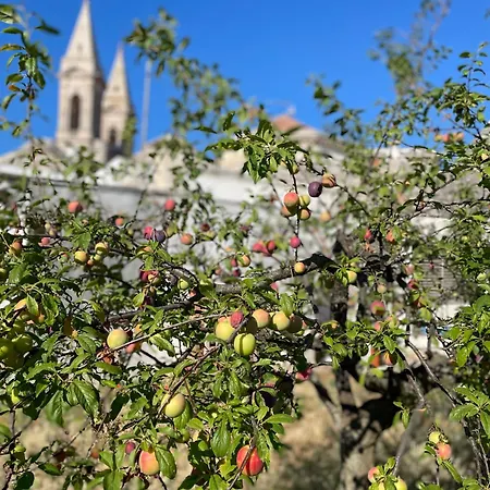 Borganthia - Il Chiostro Dei Medici Affittacamere Alberobello